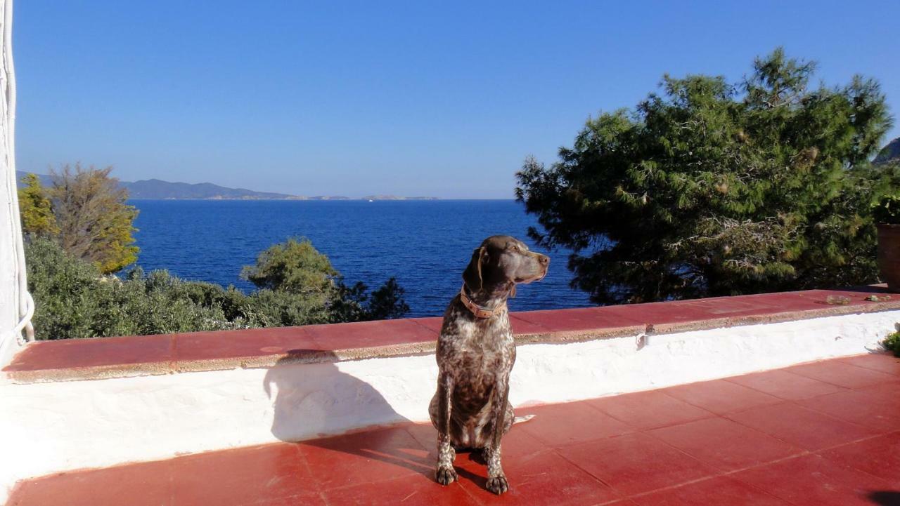 Tramontana Βίλα Ύδρα Εξωτερικό φωτογραφία